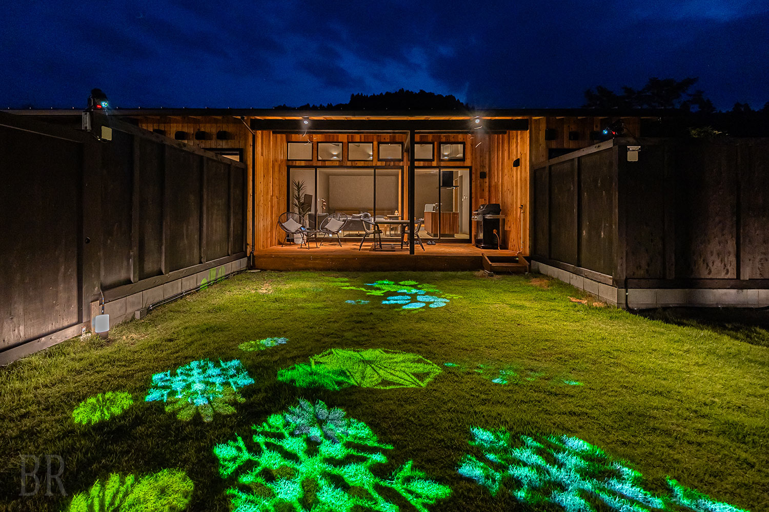 LUMINOUS DOG SUITE